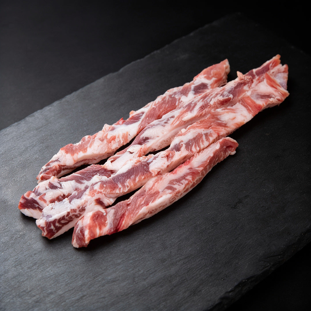 lagartito iberico